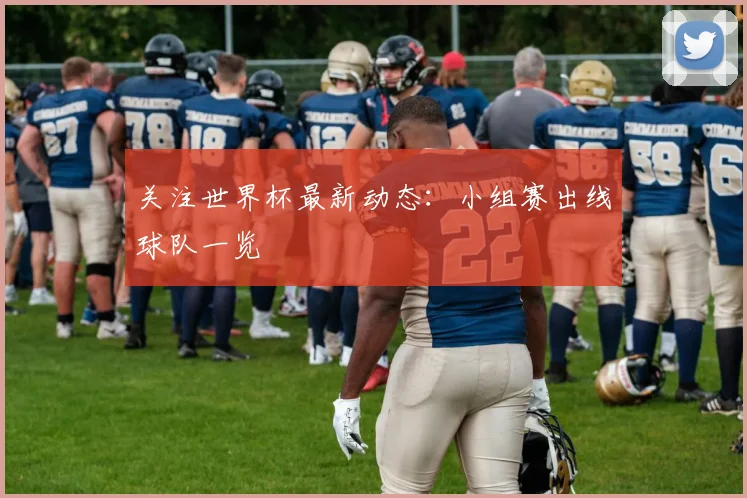 关注世界杯最新动态：小组赛出线球队一览