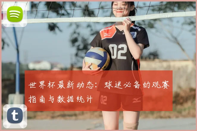 世界杯最新动态：球迷必备的观赛指南与数据统计