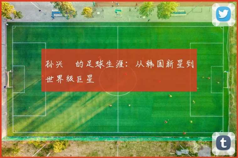 孙兴慜的足球生涯:从韩国新星到世界级巨星