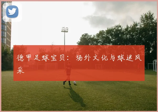德甲足球宝贝:场外文化与球迷风采